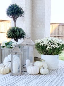 Backyard Patio Update - My Texas House